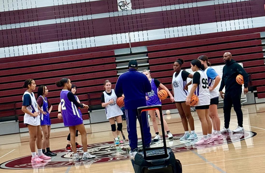 Lady Ballers Hero
